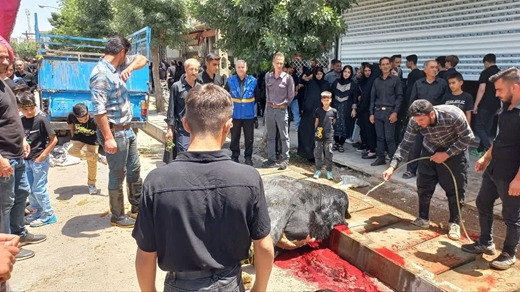 نظارت بهداشتی اکیپ های ثابت و سیار شهرستان خرمدره بر نذورات قربانی در دستجات عزاداری در روزهای تاسوعا و عاشورای حسینی